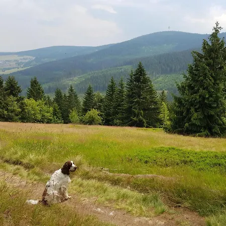Grenzblick * Oberwiesenthal