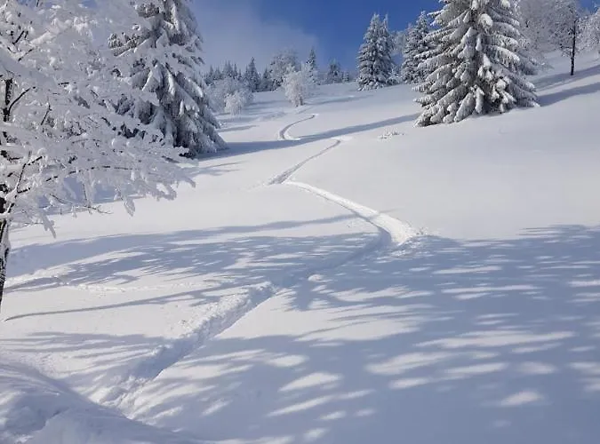 Apartament Grenzblick Oberwiesenthal