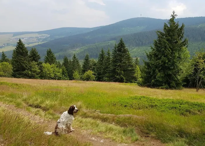 Grenzblick * Oberwiesenthal