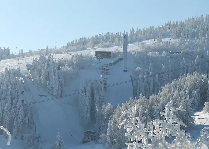 Grenzblick Apartament *